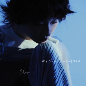 东北妓女勾引老头操…一
