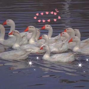 东北妓女勾引老头操…一
